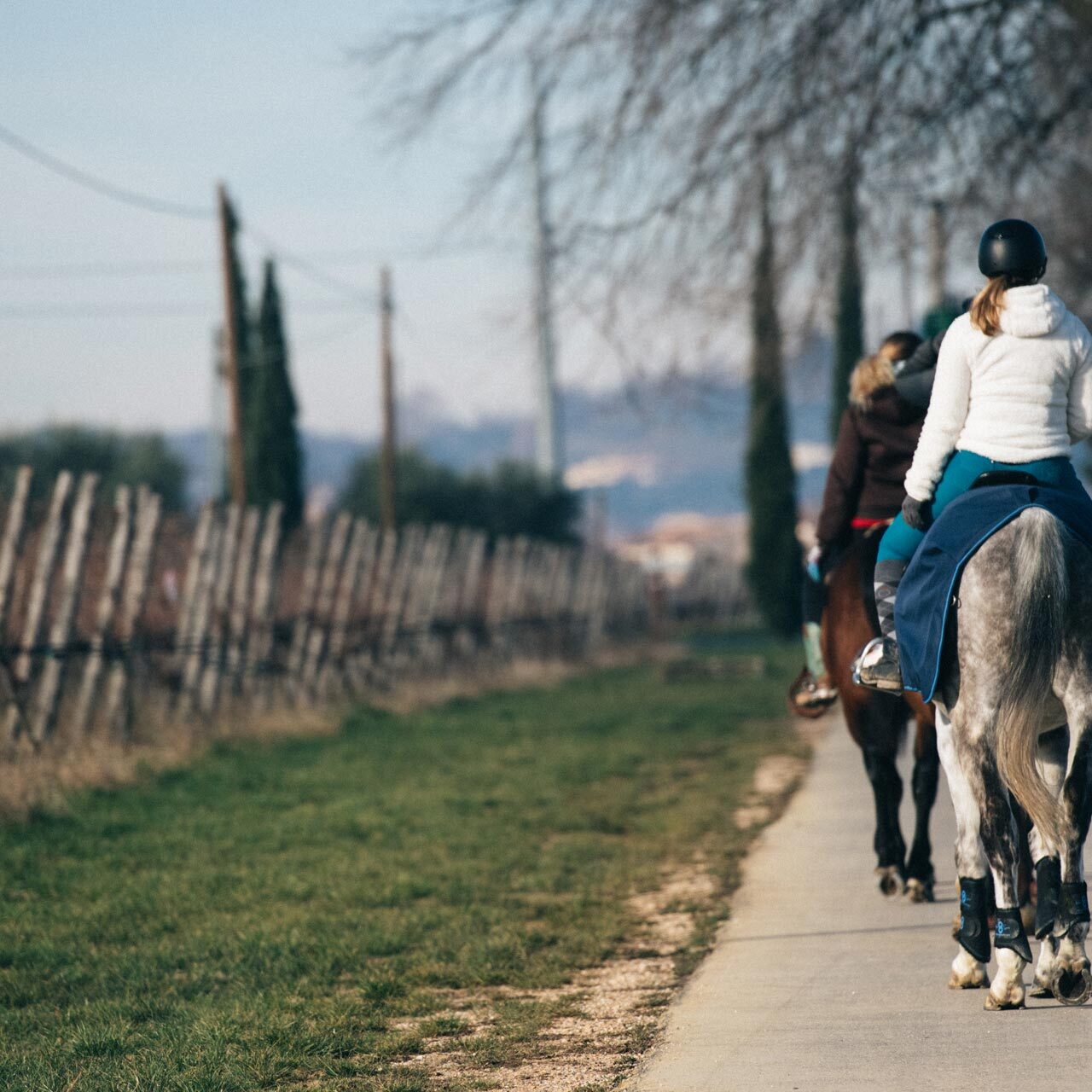 Escursioni a cavallo